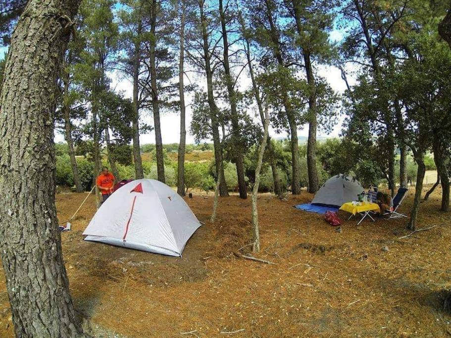 Camping Helga's Agricampeggio Seùlo