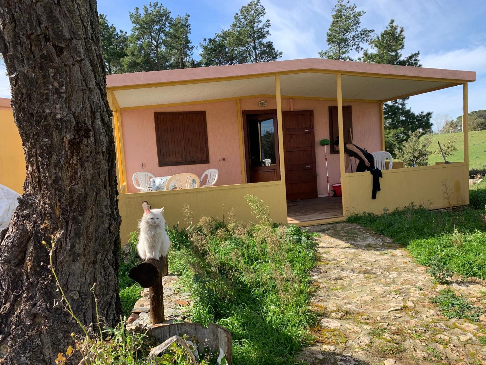 Camping Helga's Agricampeggio